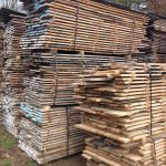harbor oak drying