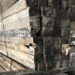 Algonquin Spruce