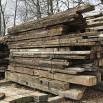 Bulfinch Spruce