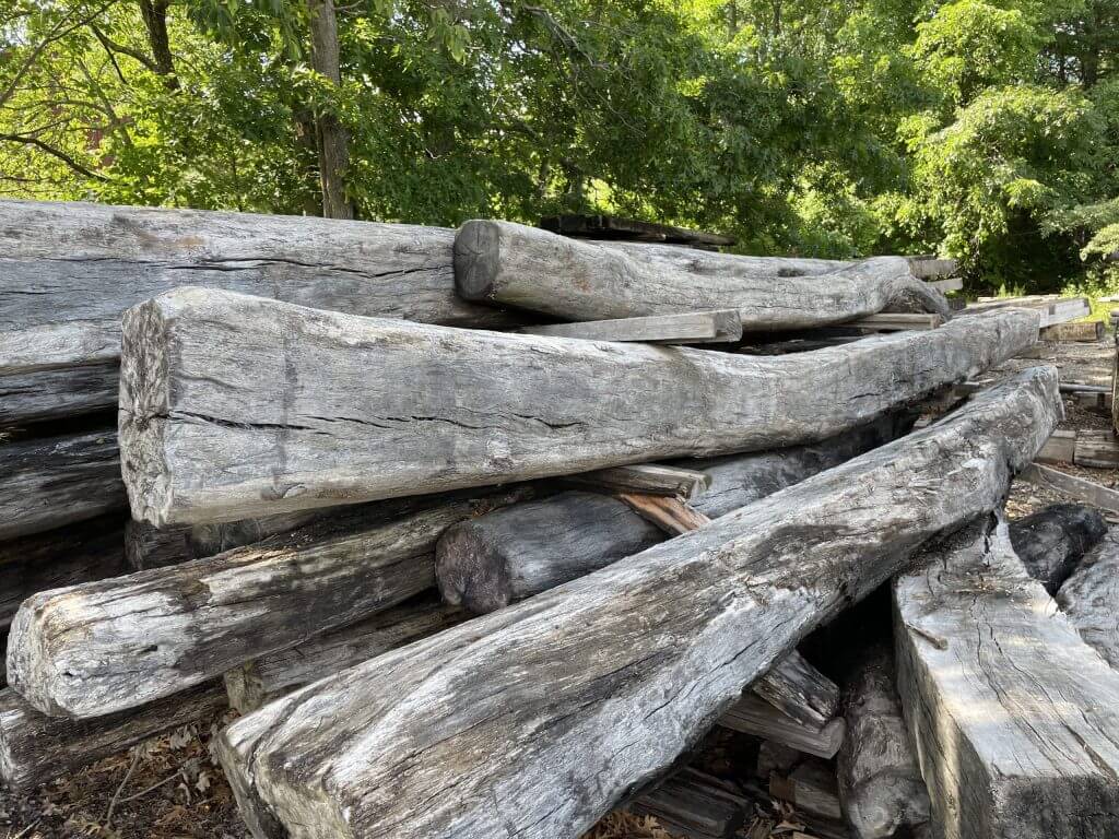 Mystic Seaport Oak